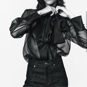 Zara Black Sheer Blouse